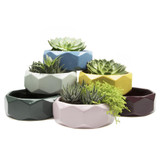 Ceramic Discus Planter 2.75" Ceramic Discus Planter 2.75"