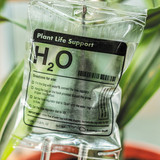 Plant Life Support Water Drip Feed For Small House Plants