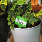 Plant Name Badges Houseplant Labels