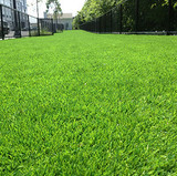 Faux Lawn Grass per Square foot 2
