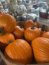 Pumpkins and Gourds