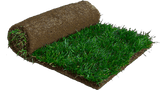 Roll of Sod 