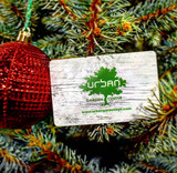 Which Christmas tree is the right one for me?