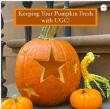 Keeping your pumpkins fresh with Urban Garden Center Keeping your pumpkins fresh with Urban Garden Center