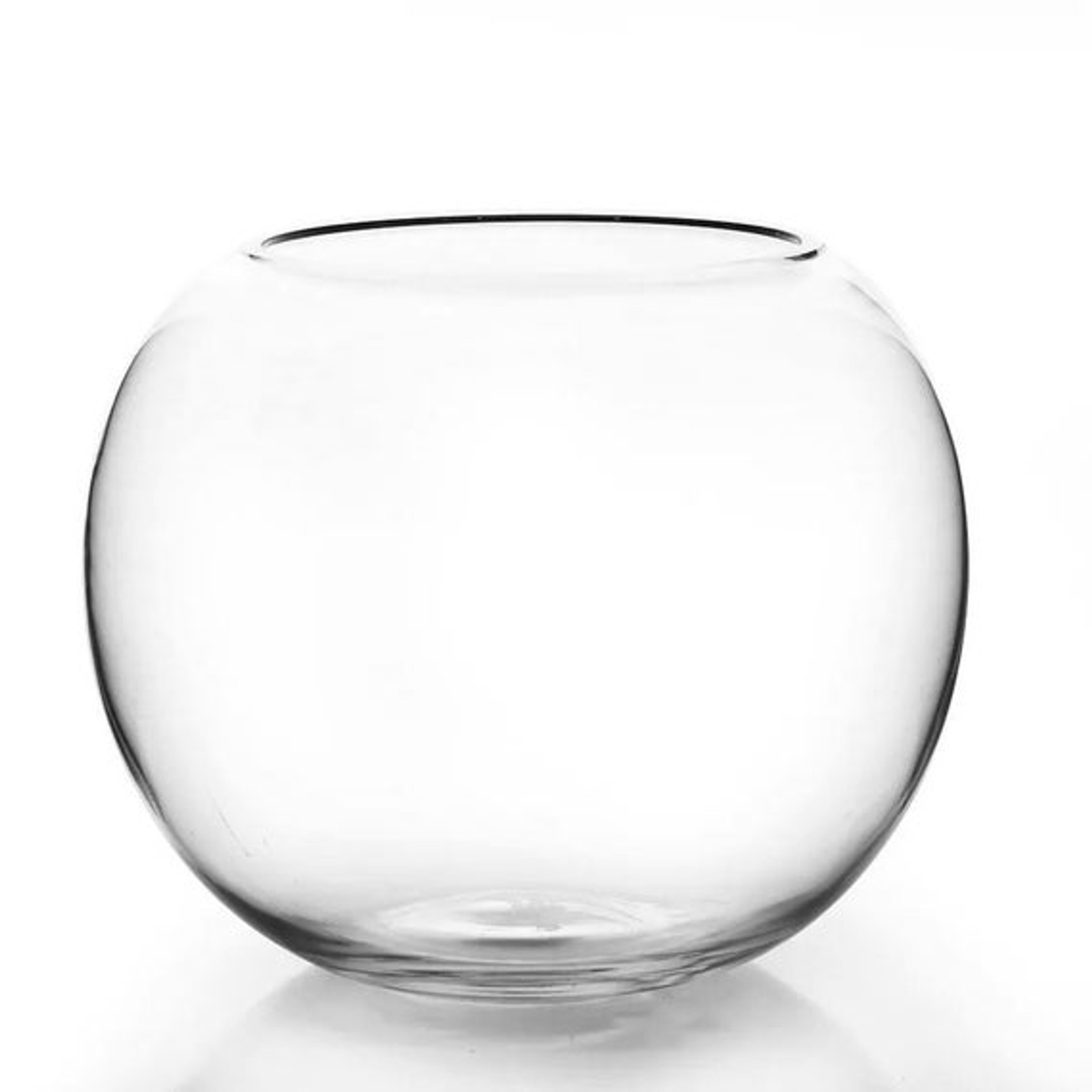 fish bowl glass