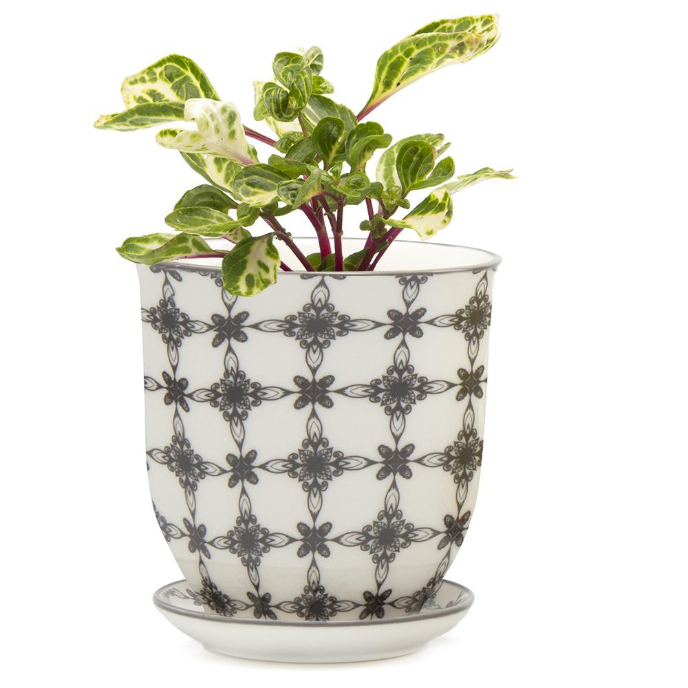 Porcelain Big Liberte 3 Pot & Saucer - Urban Garden Center