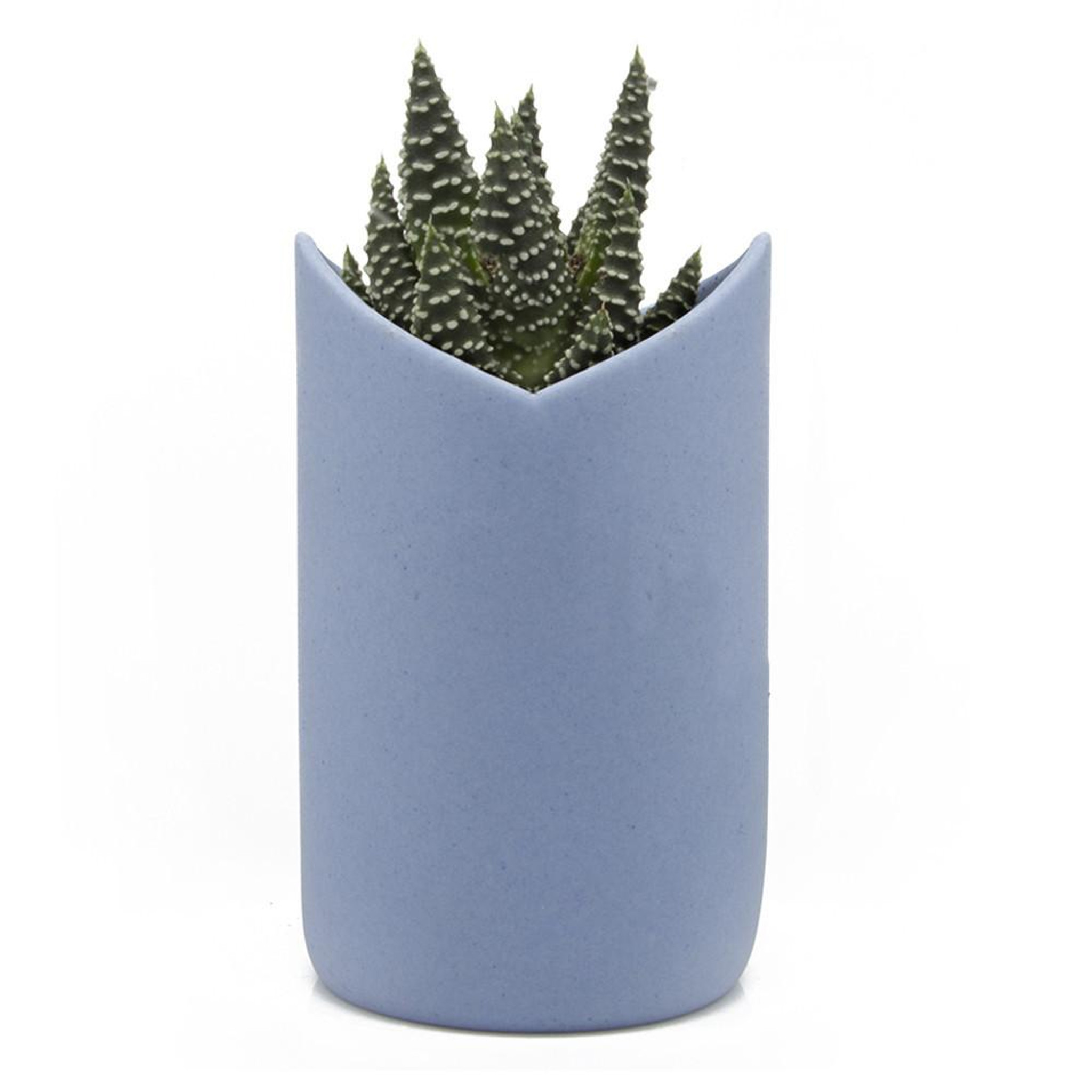 鉢・プランター TAKERO POT MASSES YAMABACHI Amazon.com: ZXKYZR8 Terracotta Planters for House Outdoor