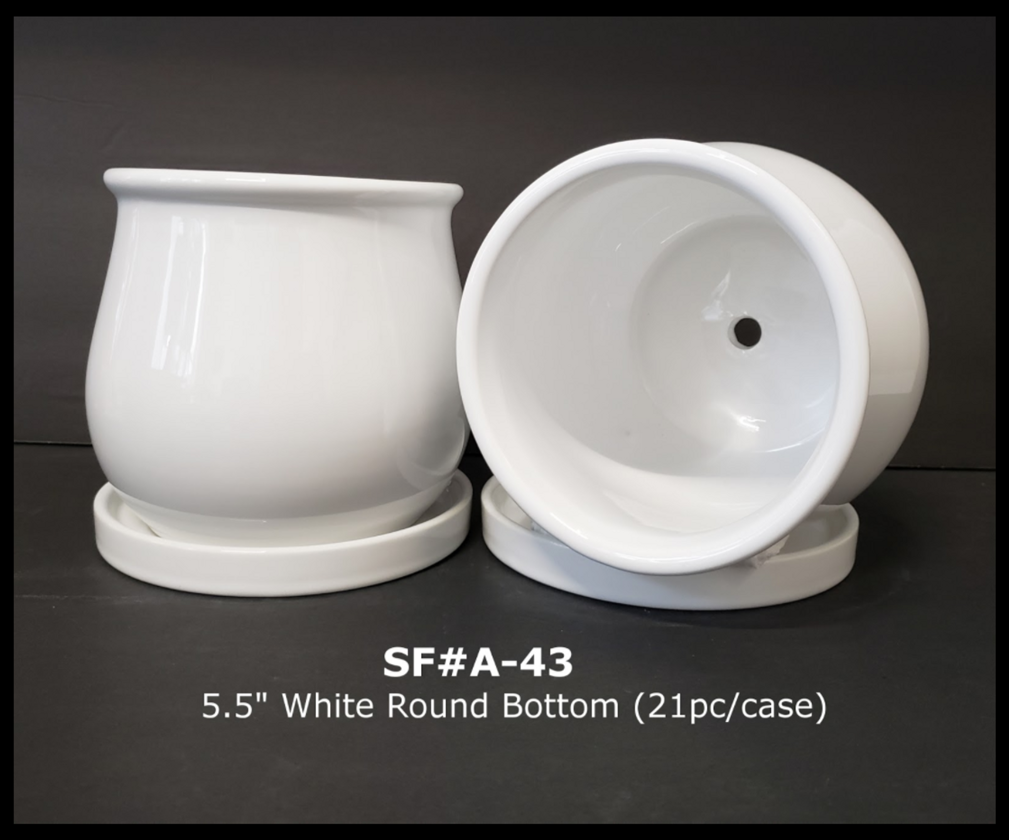 Ceramic Round Bottom White Pot & Saucer - Urban Garden Center