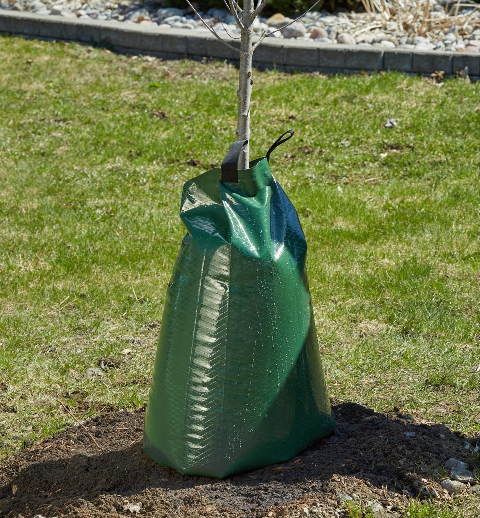 Shop Tree Watering Bags for Sale | Bags for Watering Trees | Perfect Plants