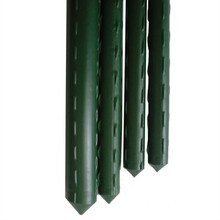 Green Vinyl Steel Stakes