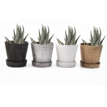 Ceramic Small Mick Pot group