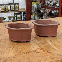 Bonsai Pots Unglazed  in room
