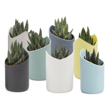 Clay Tokyo Planter group