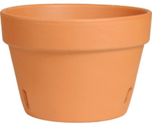 Terracotta Orchid Pots