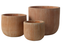 Thesso Planter - TC KV Scratch