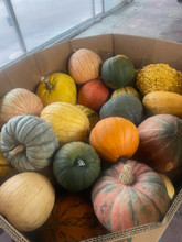 Gourds