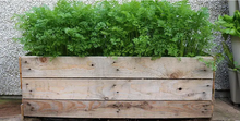 Handcrafted Recycled Pallet Planters