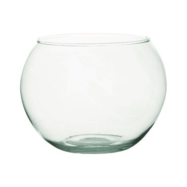 Terrarium Bubble Fish Bowl