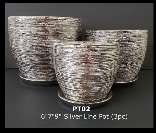Ceramic Silver Line Pot & Saucer