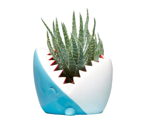 Ceramic Planter Shark!
