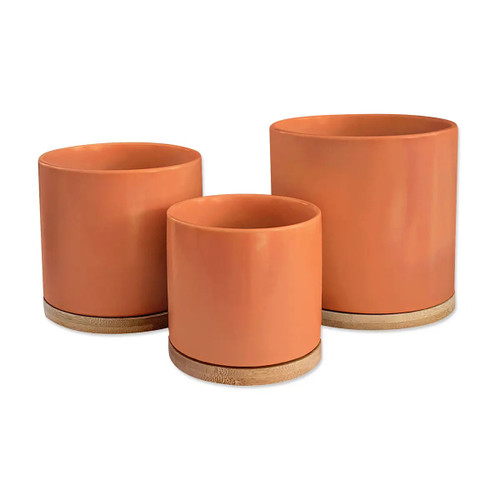 Ceramic Pot Planter with Natural Bamboo Wood Saucer
