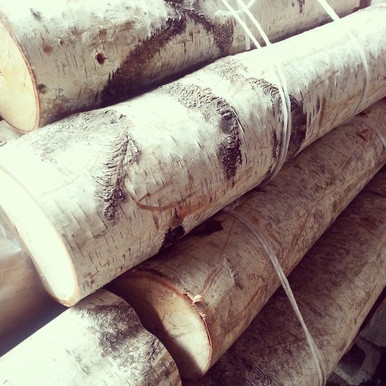 White Birch 3 Log Bundle