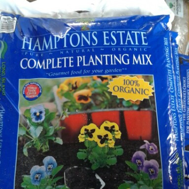 Hamptons Estate Complete Organic Planting