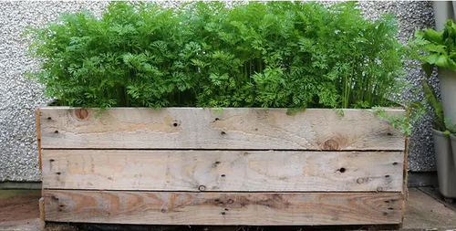Handcrafted Recycled Pallet Planters