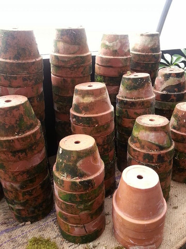 Vintage Terracotta Pots
