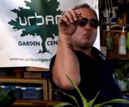 Learn to Transplant from the Experts