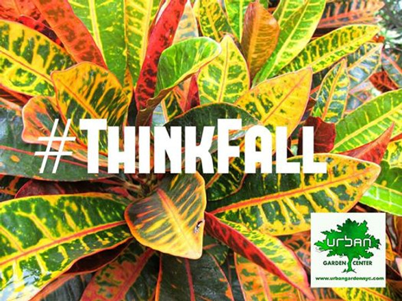 Autumn 2019 has arrived!