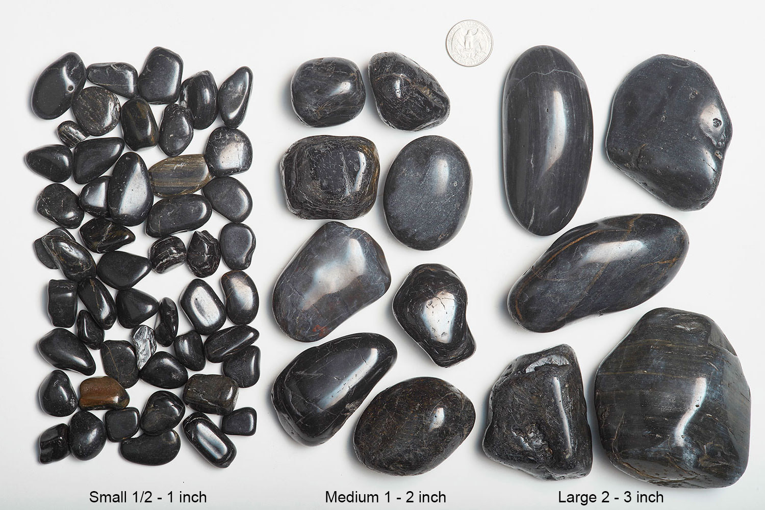 pebbles-size-comparison-sizes.jpeg