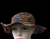 RAINBOW HEMP HAT HPH102