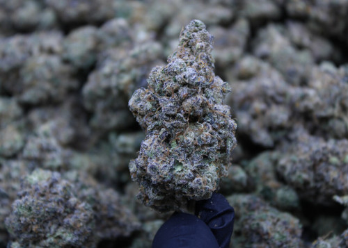 Butter OG - Indica - 28.81% THCa