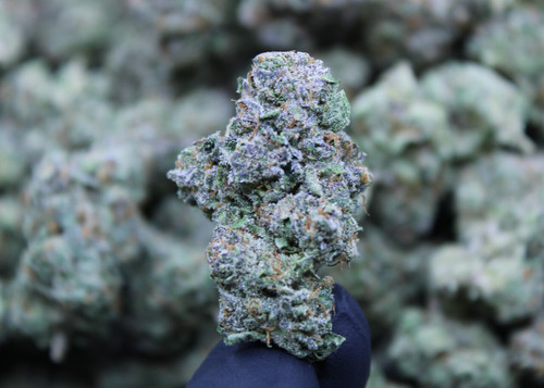 Stardawg Guava - Sativa - 30.15% THCa