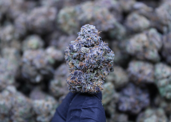 Huckleberry Diesel - Hybrid - 29.13% THCa