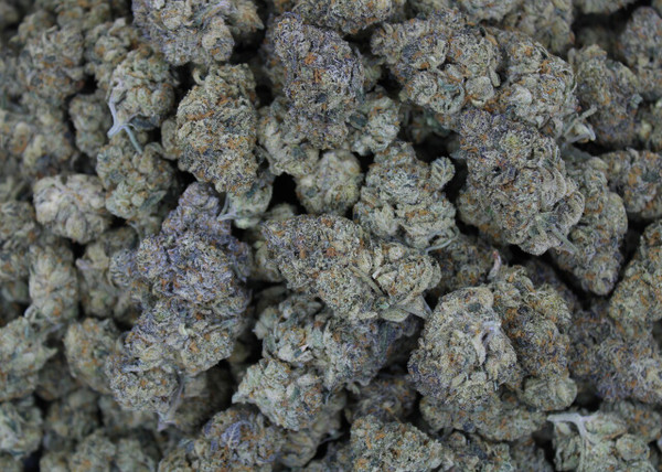 Peaches & Cream - Hybrid - 27.83% THCa