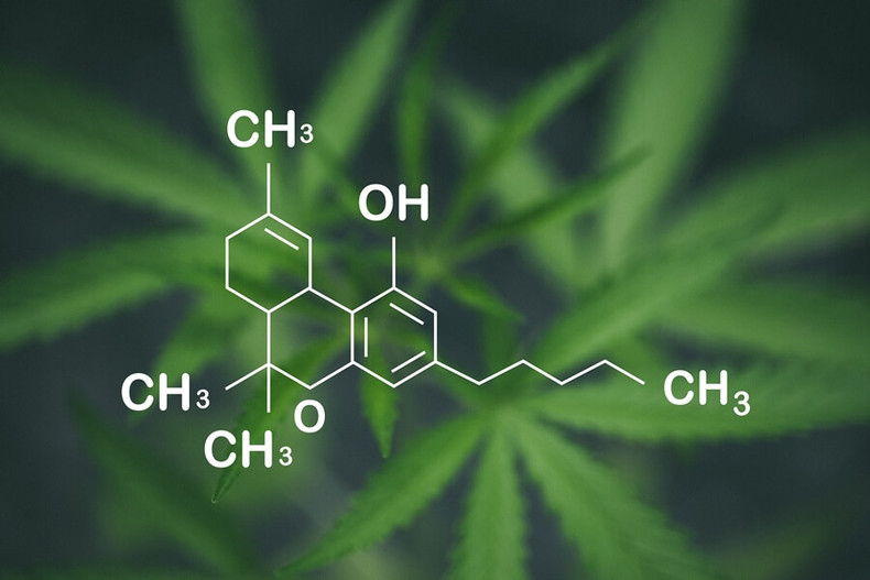 Comparing THCA Flower To Other Cannabinoids