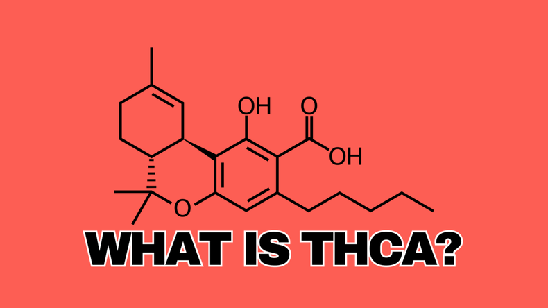 THCA Unveiled: The THC Precursor Packed with Perks