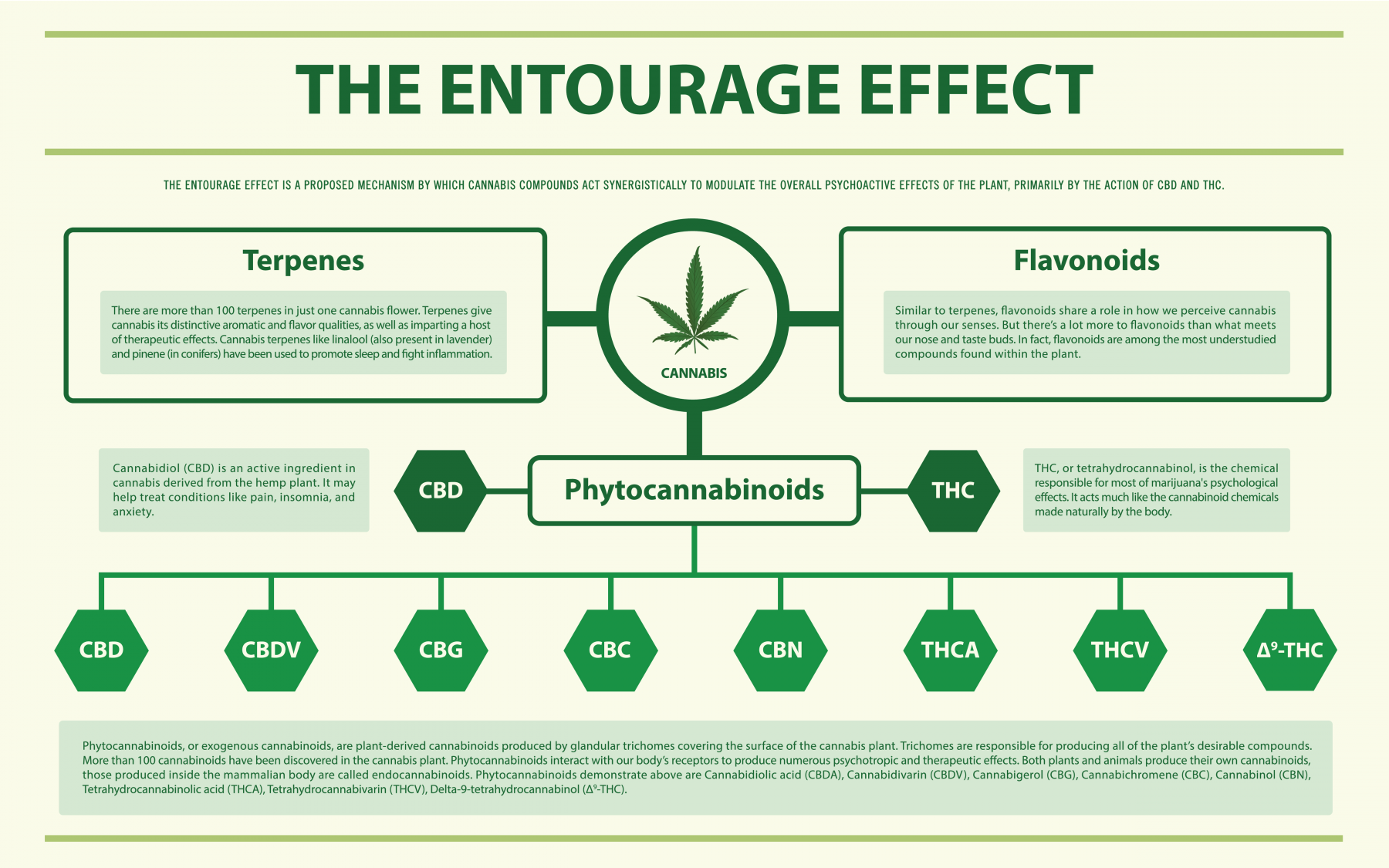 Cannabinoids and Terpenes Image