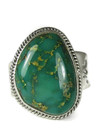 Royston Turquoise Ring Size 12 (RG5679)