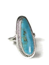 Kingman Turquoise Ring Size 7 (RG5689)