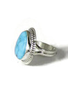 Kingman Turquoise Ring Size 8 1/2 (RG5699)