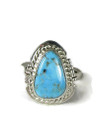 Kingman Turquoise Ring Size 5 (RG6110)