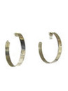 Sterling Silver Hoop Earrings (ER7091) 