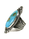Kingman Turquoise Ring Size 10 1/2 - Adjustable by Albert Jake (RG7226) 