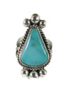 Kingman Turquoise Ring Size Size 8 1/2 by Linda Yazzie (RG7228)