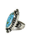 Kingman Turquoise Ring Size 7 by Calvin Belen (RG7229)