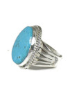 Kingman Turquoise Ring Size 7 1/2 by Lyle Piaso (RG7084)