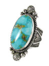 Kingman Turquoise Ring Size 10 - Adjustable by Albert Jake (RG7098) 